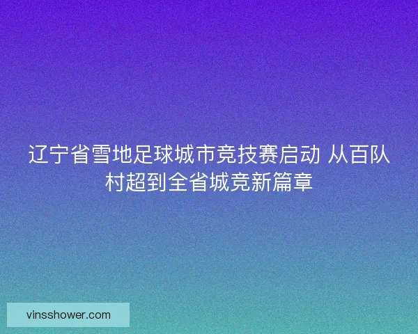 辽宁省雪地足球城市竞技赛启动 从百队村超到全省城竞新篇章